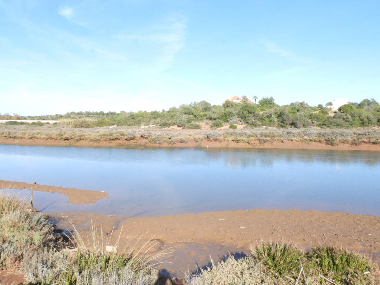 En lugn promenad längs Ribeira do Almagem