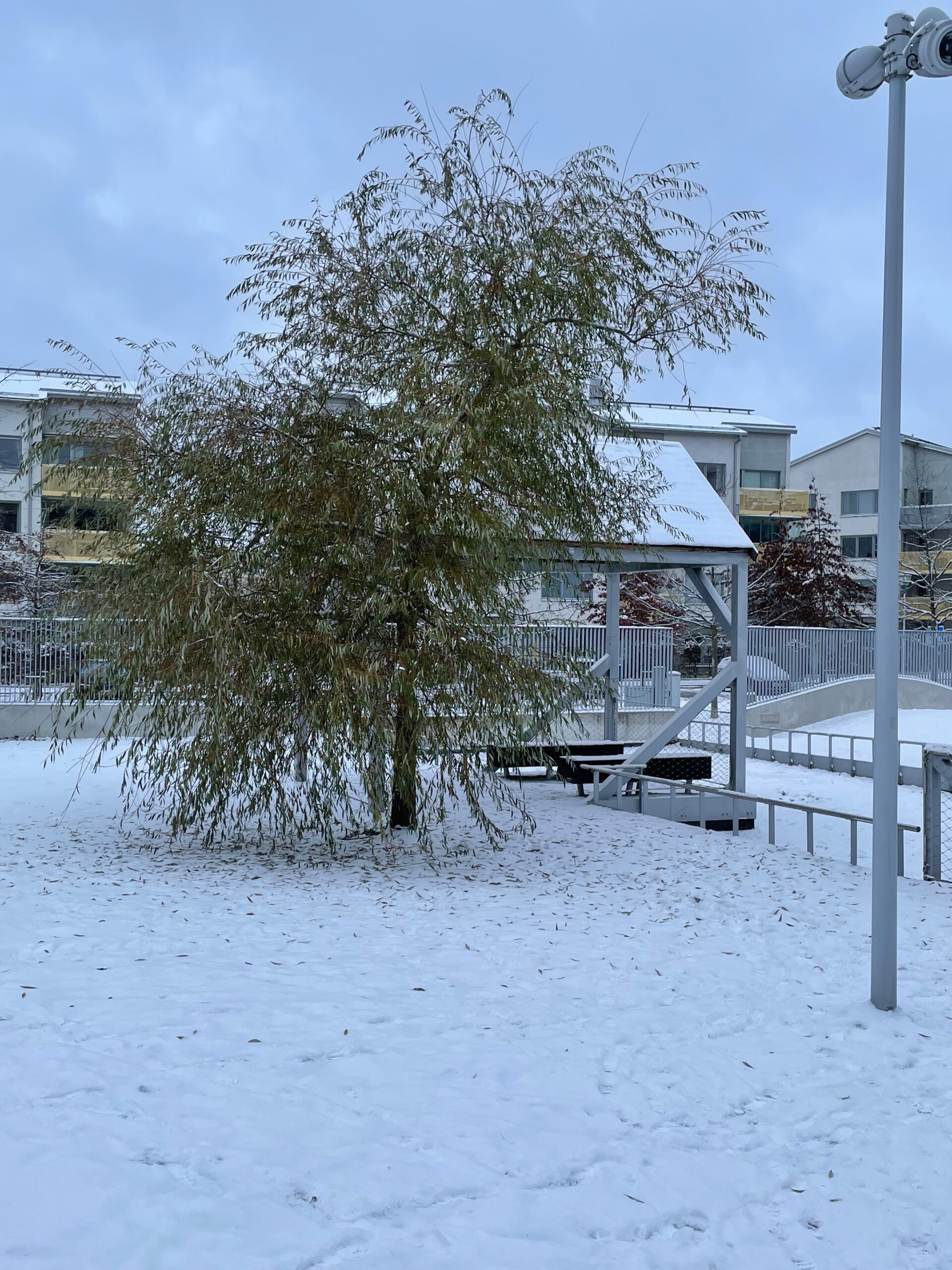 Vinterpromenad i Järvastaden